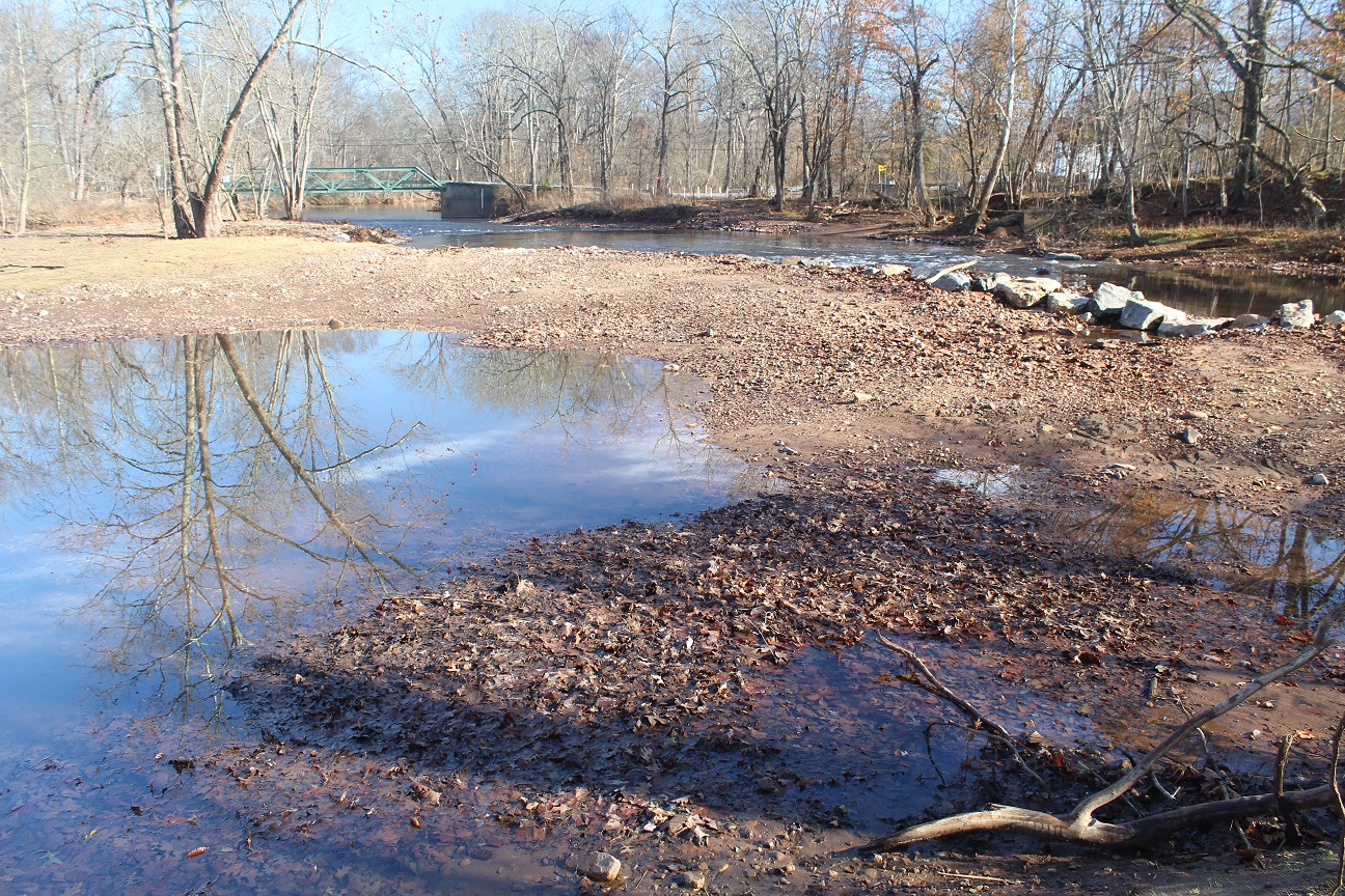 BMD post removal resized.JPG